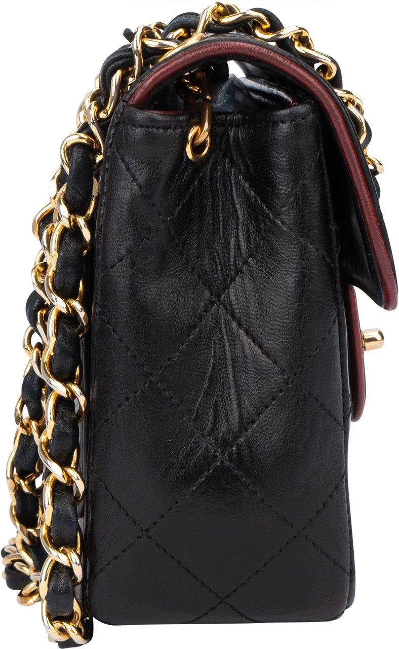 Chanel Chanel Quilted Bicolor Lambskin 24K Gold Single Flap Crossbody Bag Divers