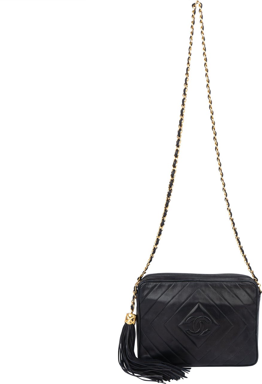 Chanel Chanel Quilted Chevron Lambskin Camera Crossbody Bag Divers