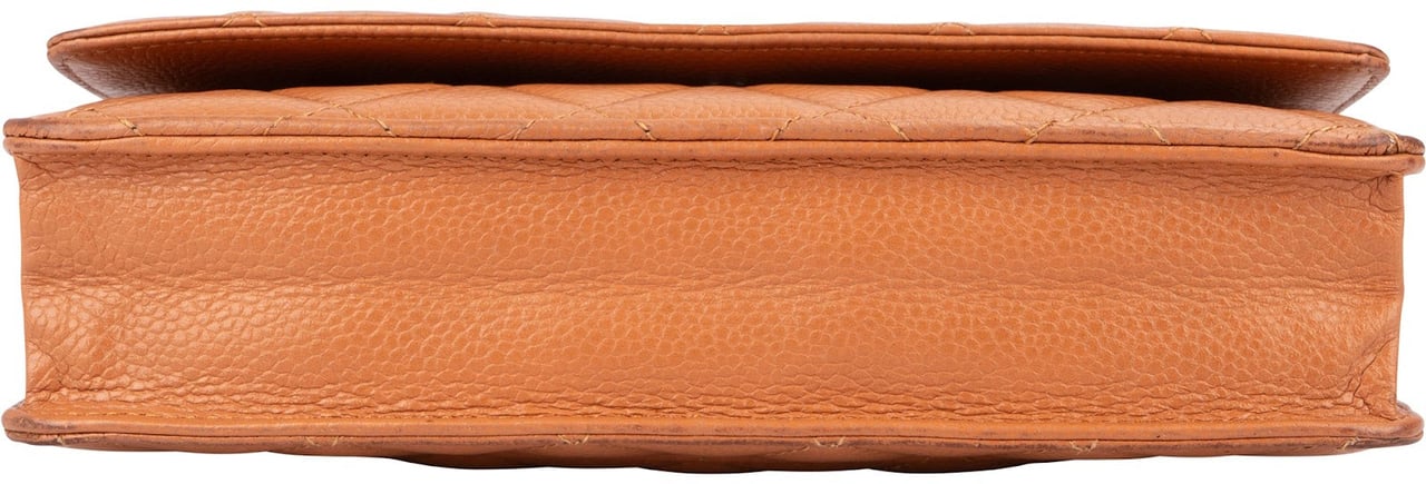 Chanel Quilted Caviar Leather Wallet On Chain Crossbody Bag Bruin