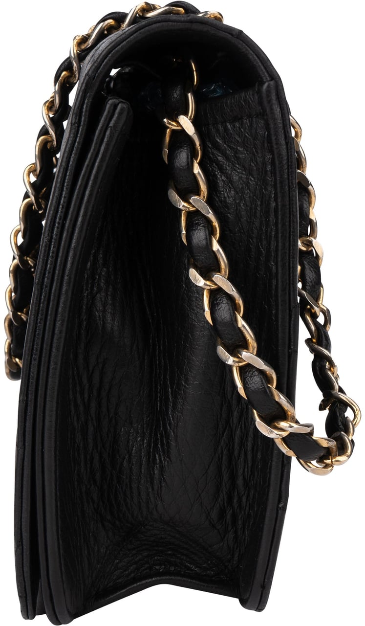 Chanel Chanel Quilted Lambskin Single Flap Shoulder Bag Divers