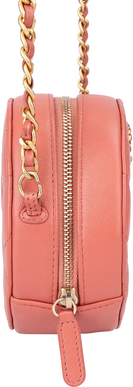 Chanel Chanel 19 Quilted Lambskin Round Crossbody Bag Roze
