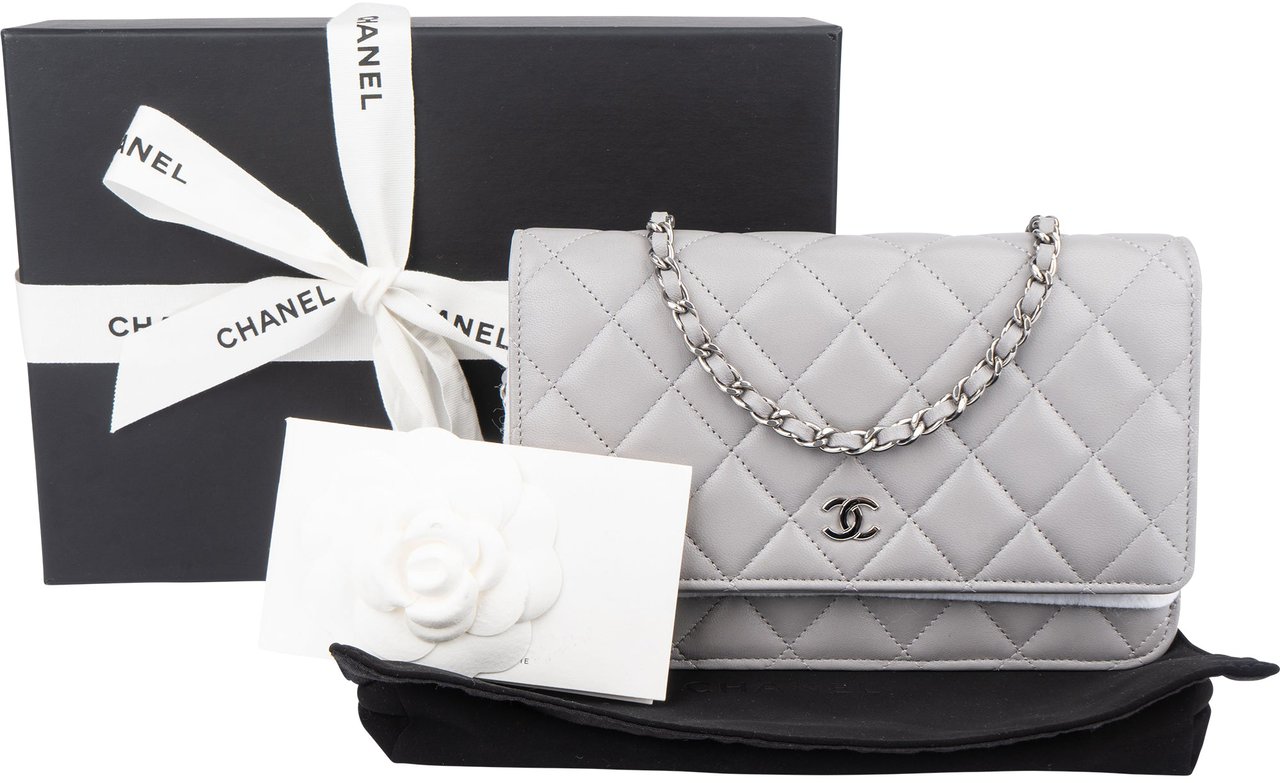 Chanel Chanel Quilted Lambskin Palladium Wallet On Chain Crossbody Bag Divers