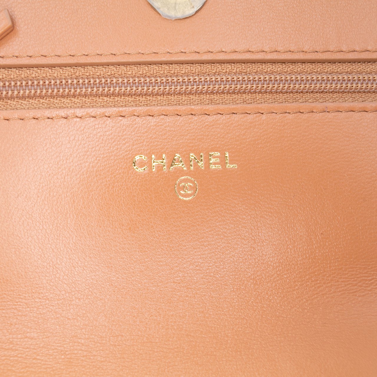 Chanel Quilted Lambskin 19 Wallet on Chain Bruin