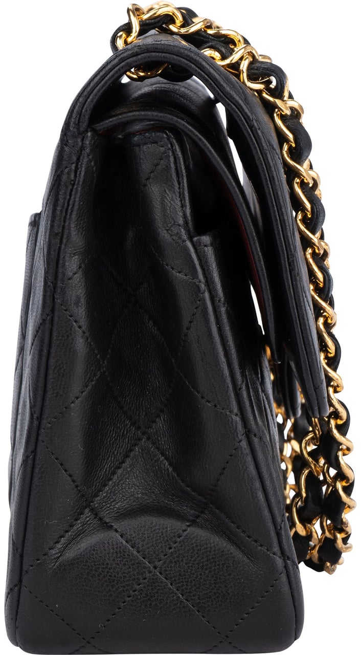 Chanel Chanel Quilted Lambskin 24K Gold Double Flap Shoulder Bag Divers