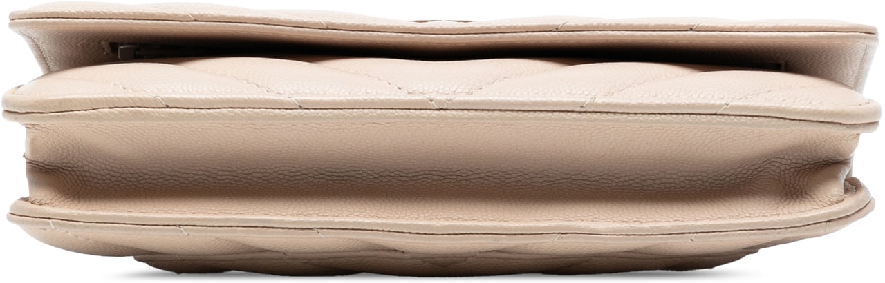 Chanel CC Chevron Caviar Ancient Greek Charms Wallet On Chain Bruin