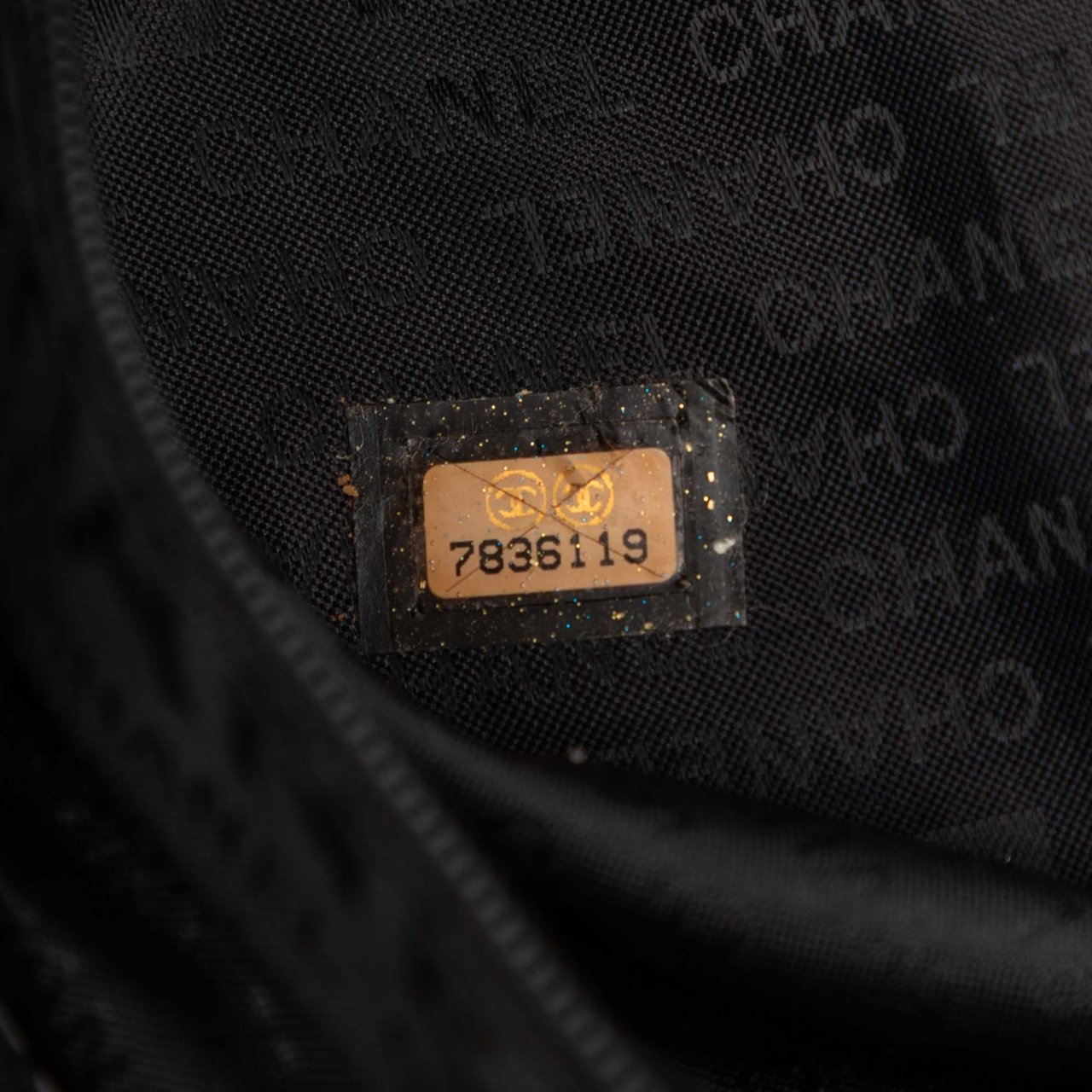 Chanel Nylon CC Sport Line Belt Bag Bruin