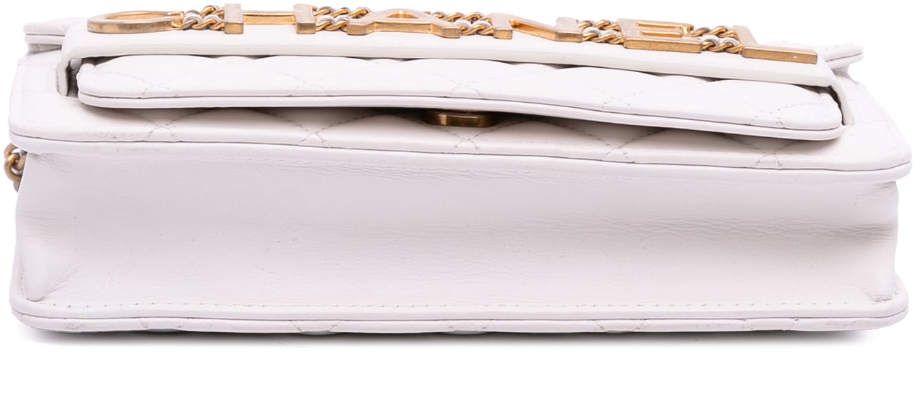 Chanel Medium Quilted Calfskin Enchained Flap Wit