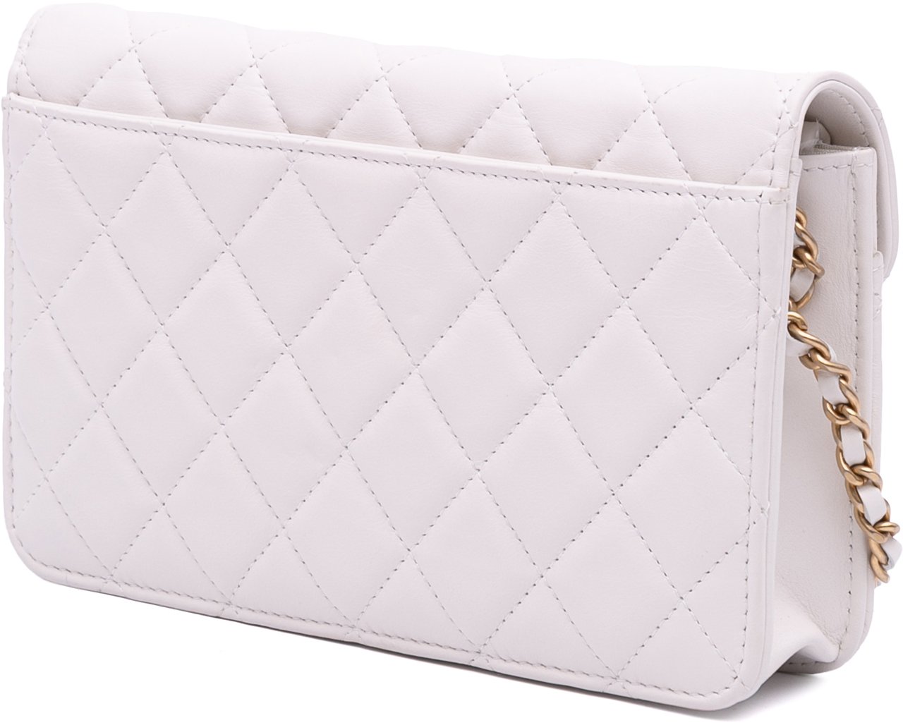 Chanel Medium Quilted Calfskin Enchained Flap Wit