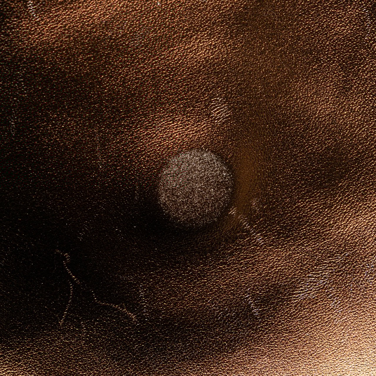 Chanel Metallic Lambskin Flap Crossbody Bruin