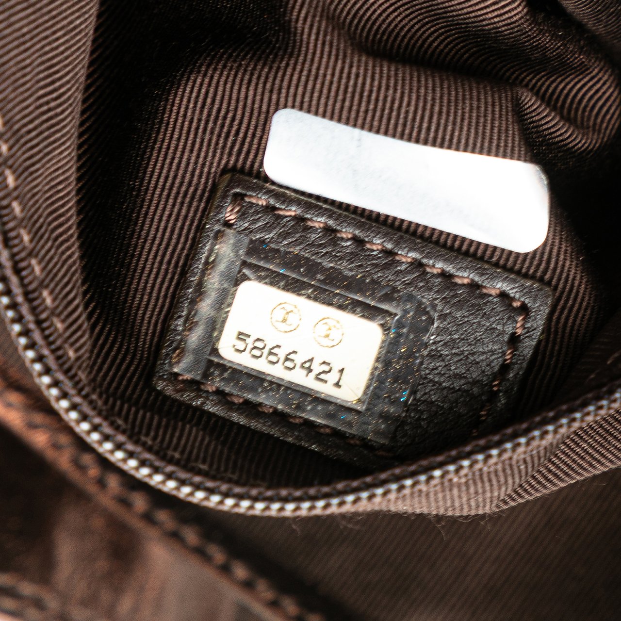 Chanel Metallic Lambskin Flap Crossbody Bruin