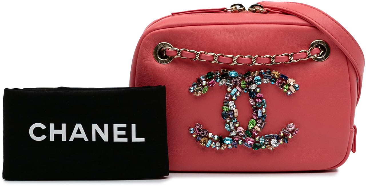 Chanel Lambskin Giant Crystal CC Camera Bag Roze