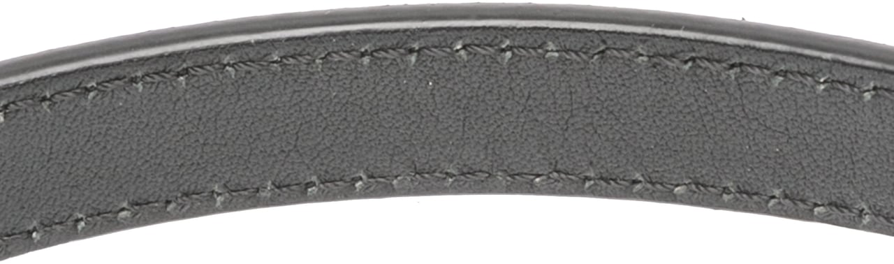 Chanel Large Quilted Iridescent Calfskin Coco Daily Flap Grijs