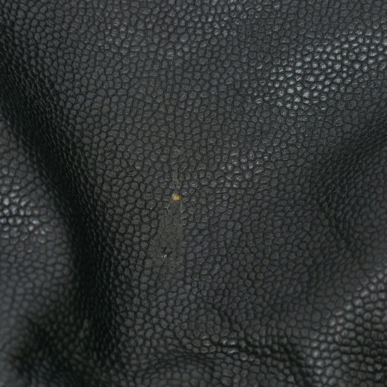 Chanel Caviar 31 Hobo Bag Zwart