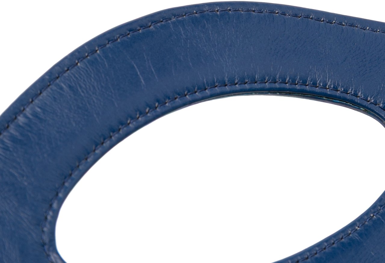 Chanel Small Bicolor Aged Calfskin 31 Clutch Blauw