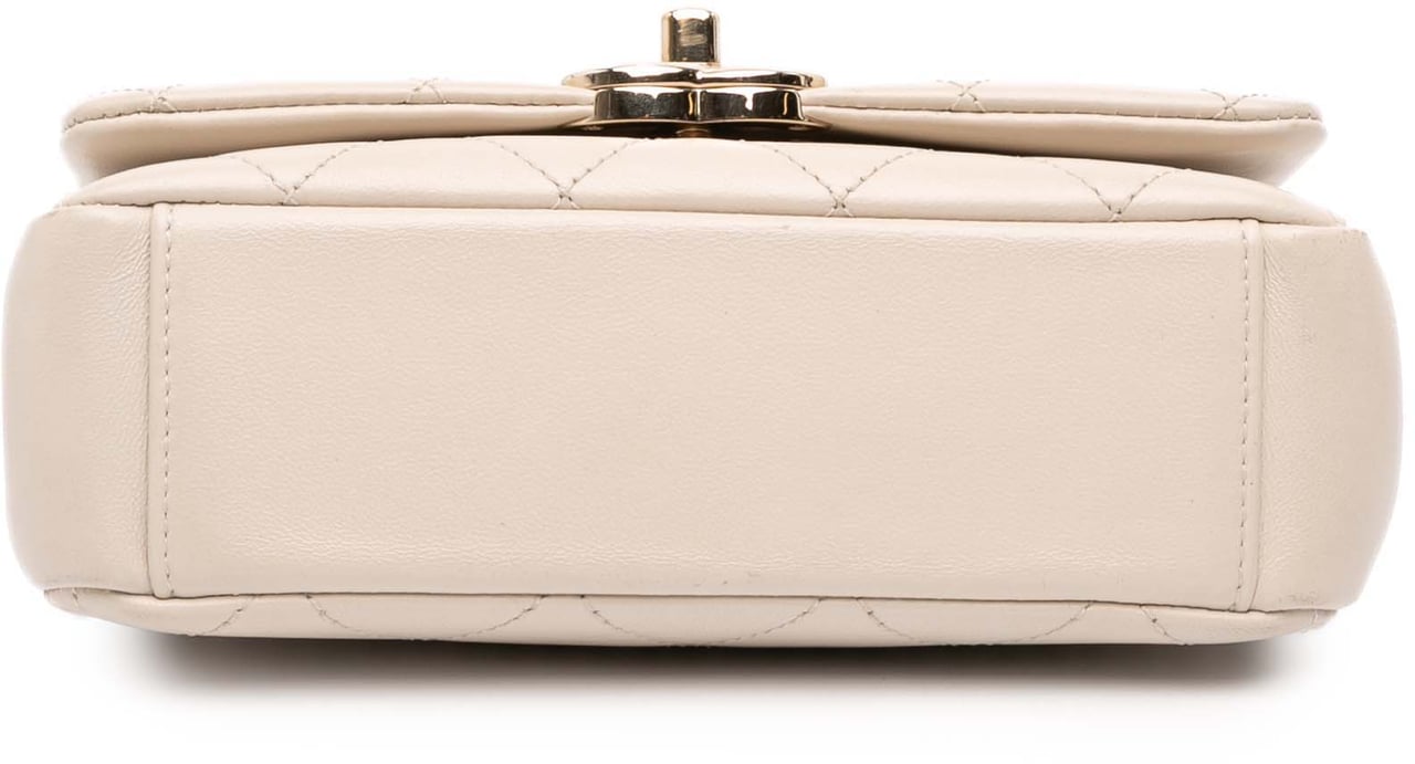 Chanel Medium Lambskin Twist Chain Enamel CC Flap Bruin