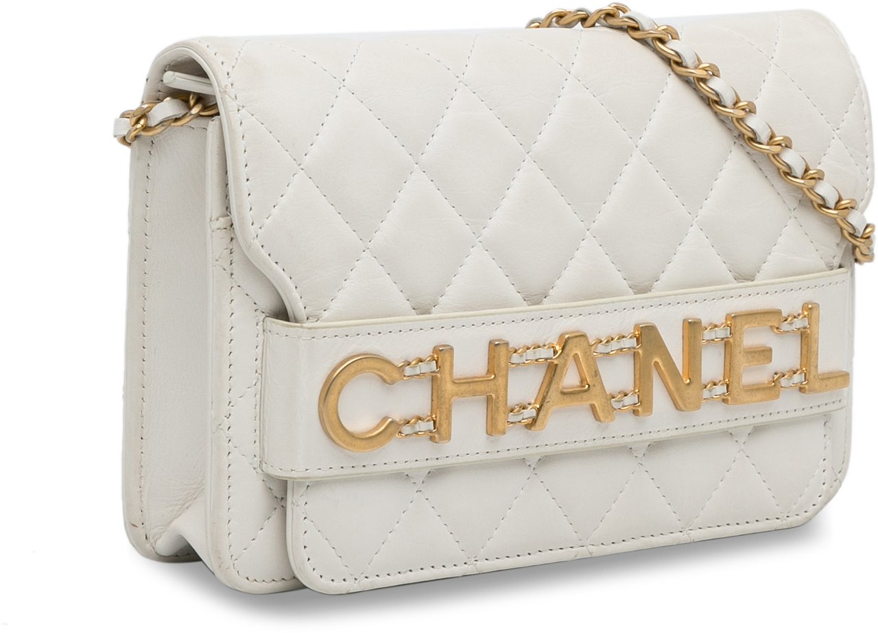 Chanel Enchained Wallet on Chain Wit