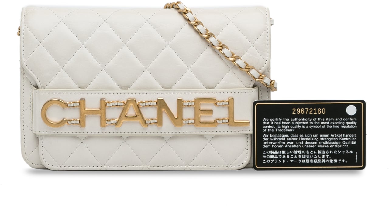Chanel Enchained Wallet on Chain Wit