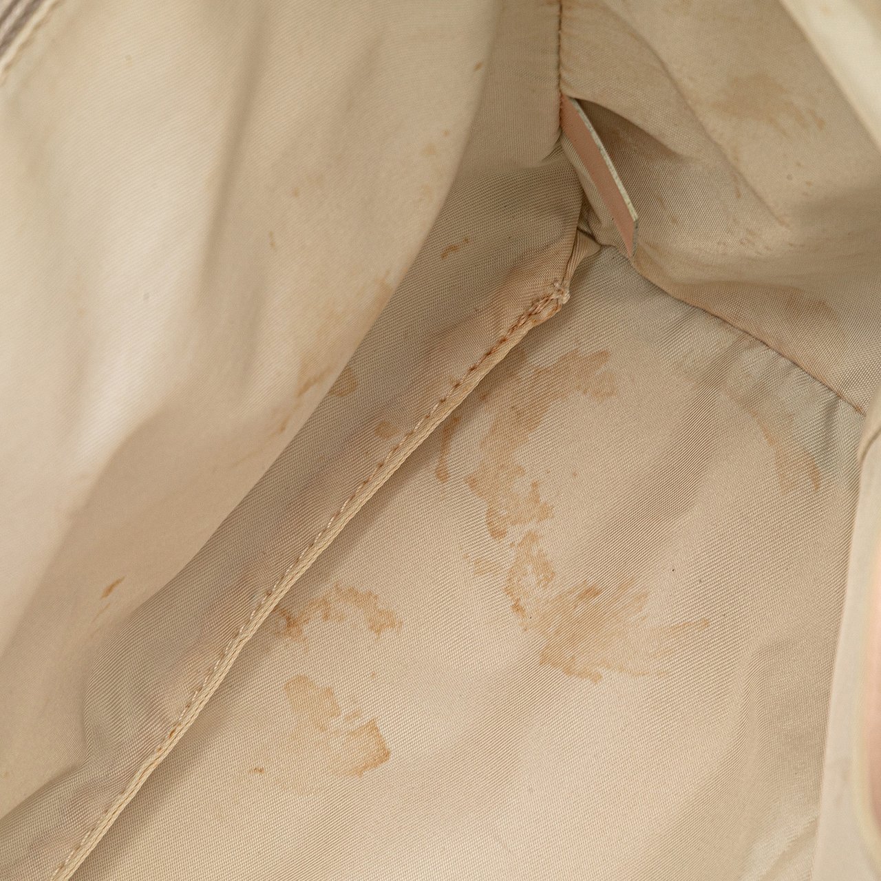 Chanel New Travel Line Nylon Tote Bruin