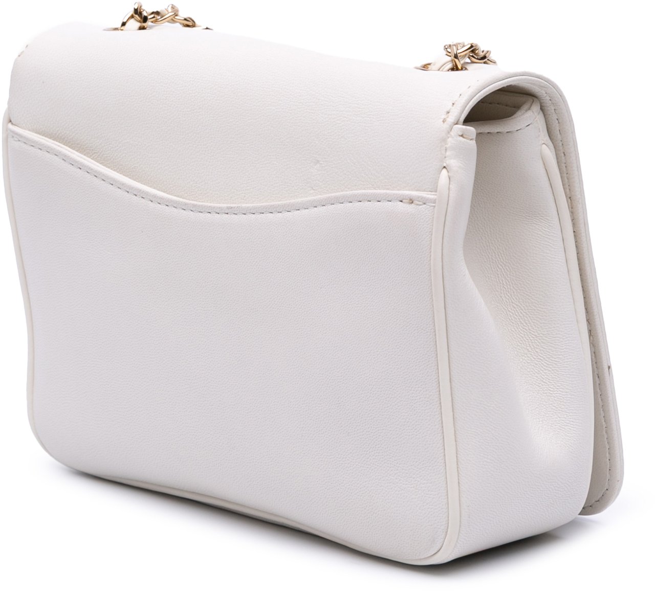 Chanel Lambskin CC Mania Flap Wit