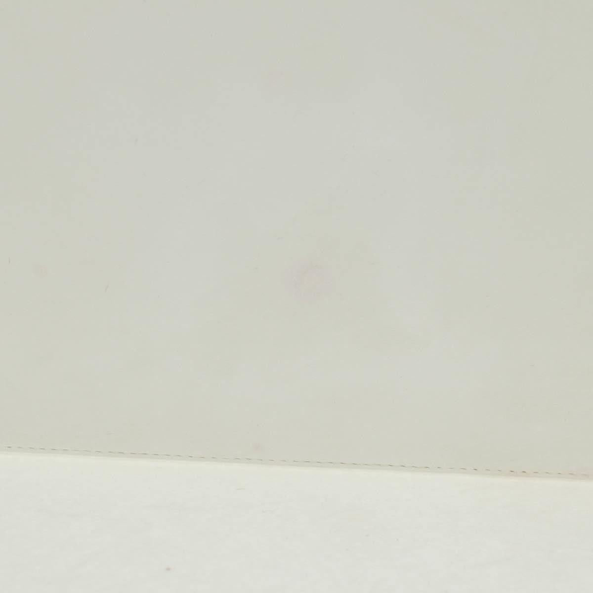 Chanel Chanel CC Chain Shoulder Bag Leather Wit