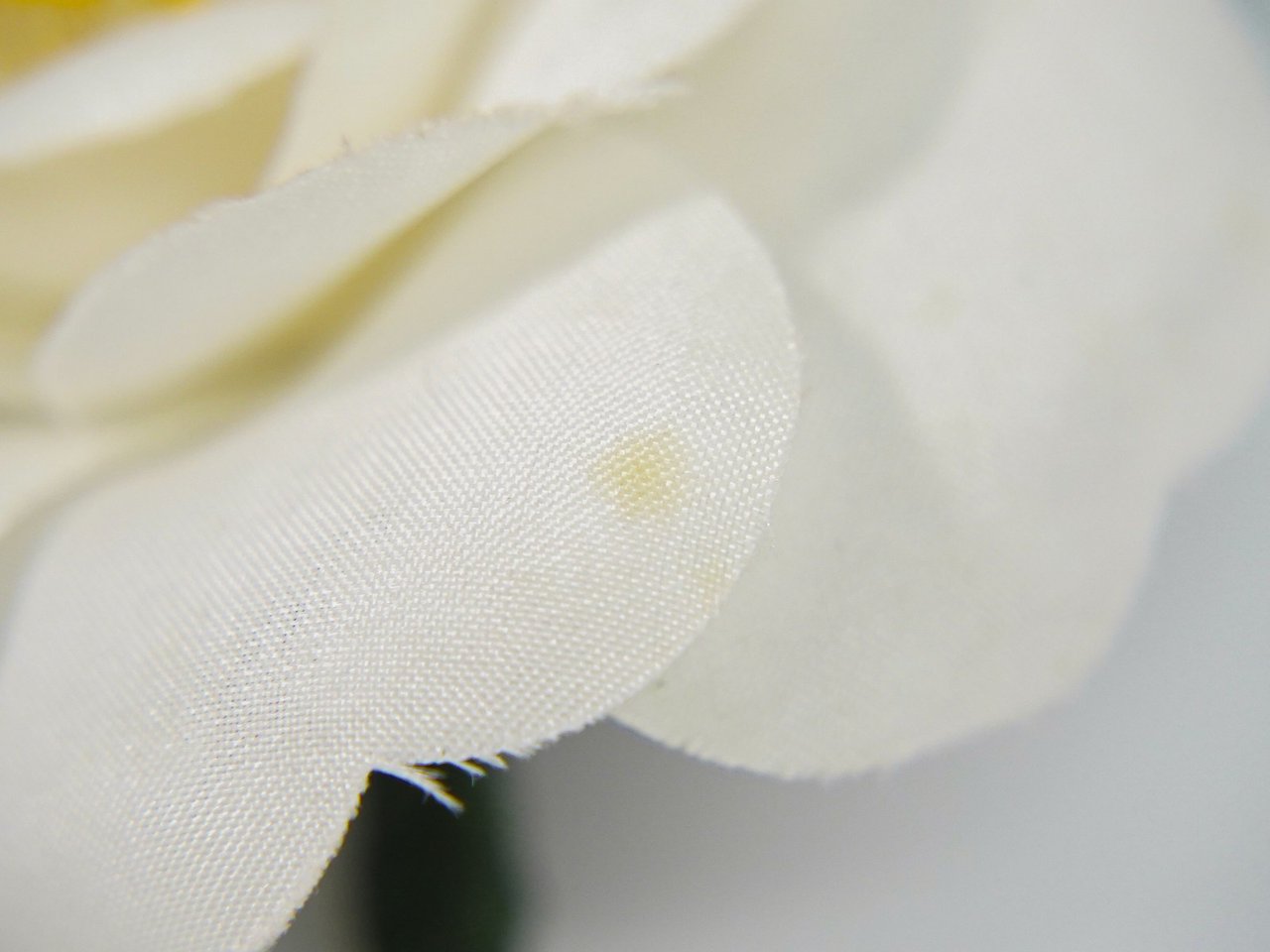 Chanel Chanel CC Camellia Brooch Plastic with Faux Pearl Wit