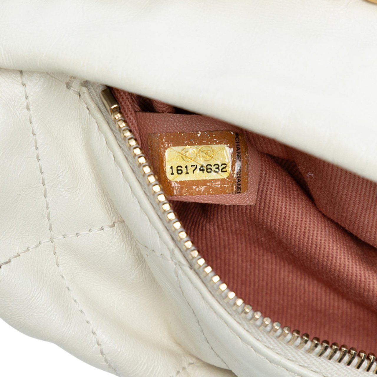 Chanel Quilted Calfskin Midnight Swim Baluchon Bag Wit