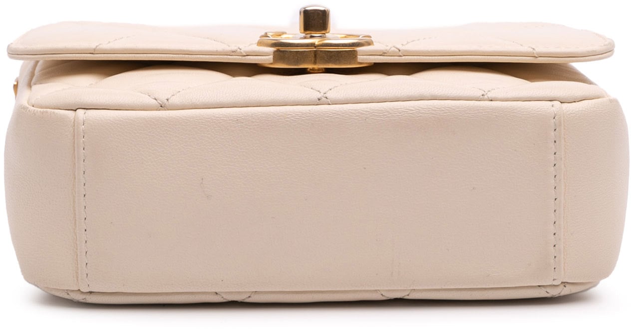 Chanel Small Quilted Lambskin CC Coin Flap Bruin