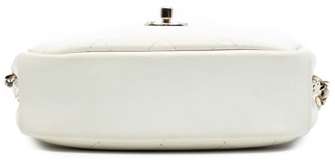 Chanel Small Quilted Goatskin Casual Trip Camera Bag Wit