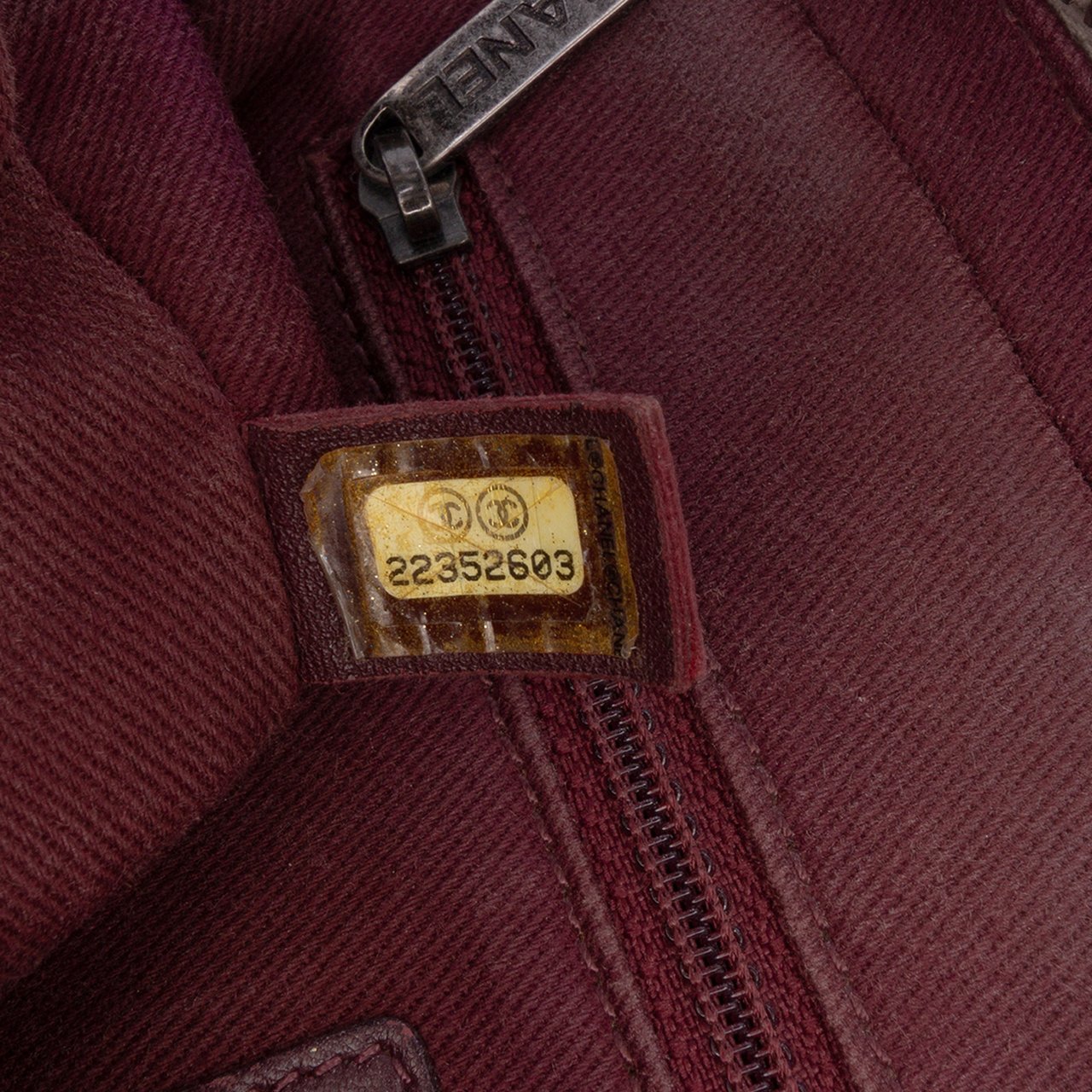 Chanel Quilted Calfskin Day Trip Flap Bruin