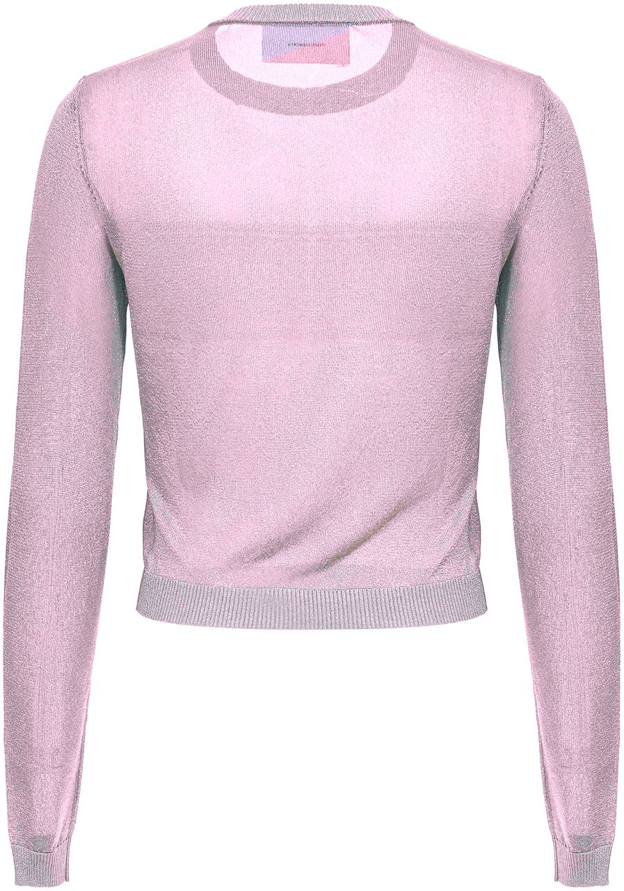 Chiara Ferragni Sweaters Pink Roze