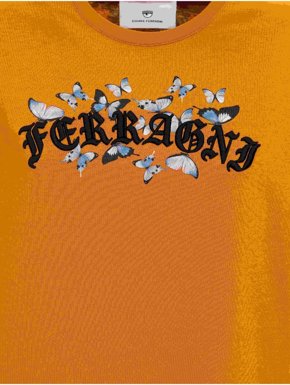Chiara Ferragni T-Shirts And Polos Brown Bruin
