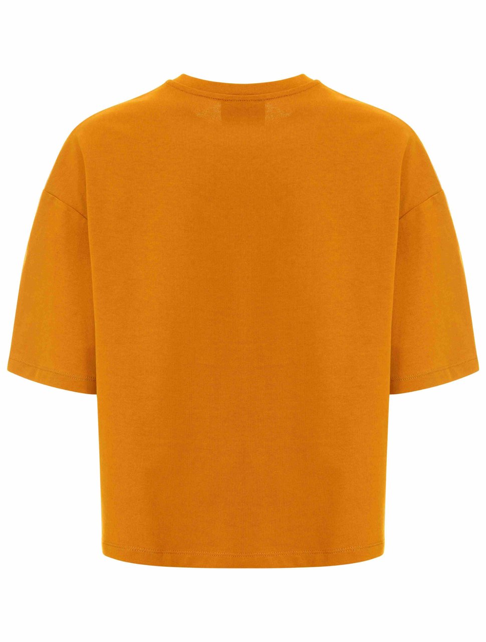 Chiara Ferragni T-Shirts And Polos Brown Bruin