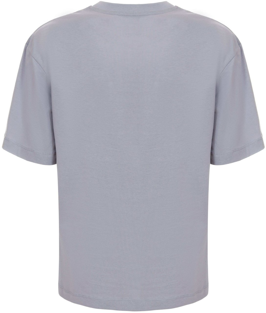Chiara Ferragni T-Shirts And Polos Grey Grijs