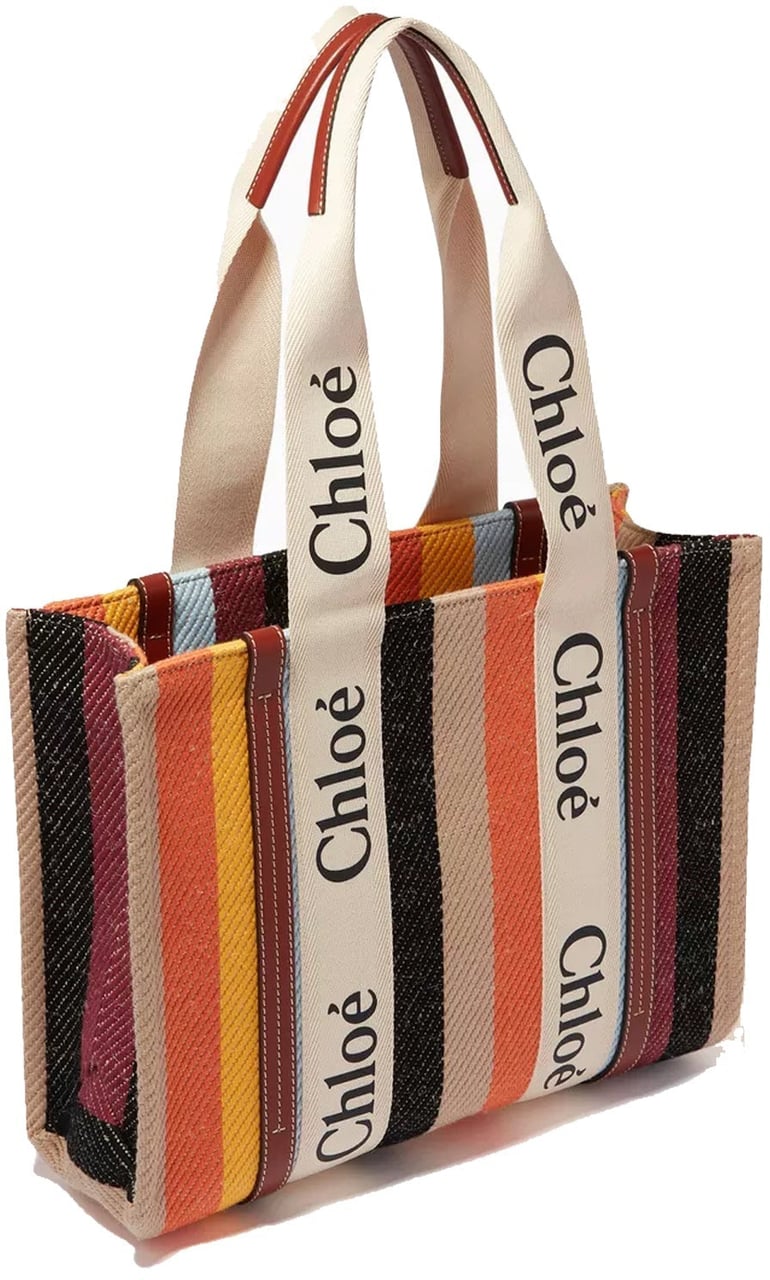 Chloé Woody Medium Tote Bag Divers