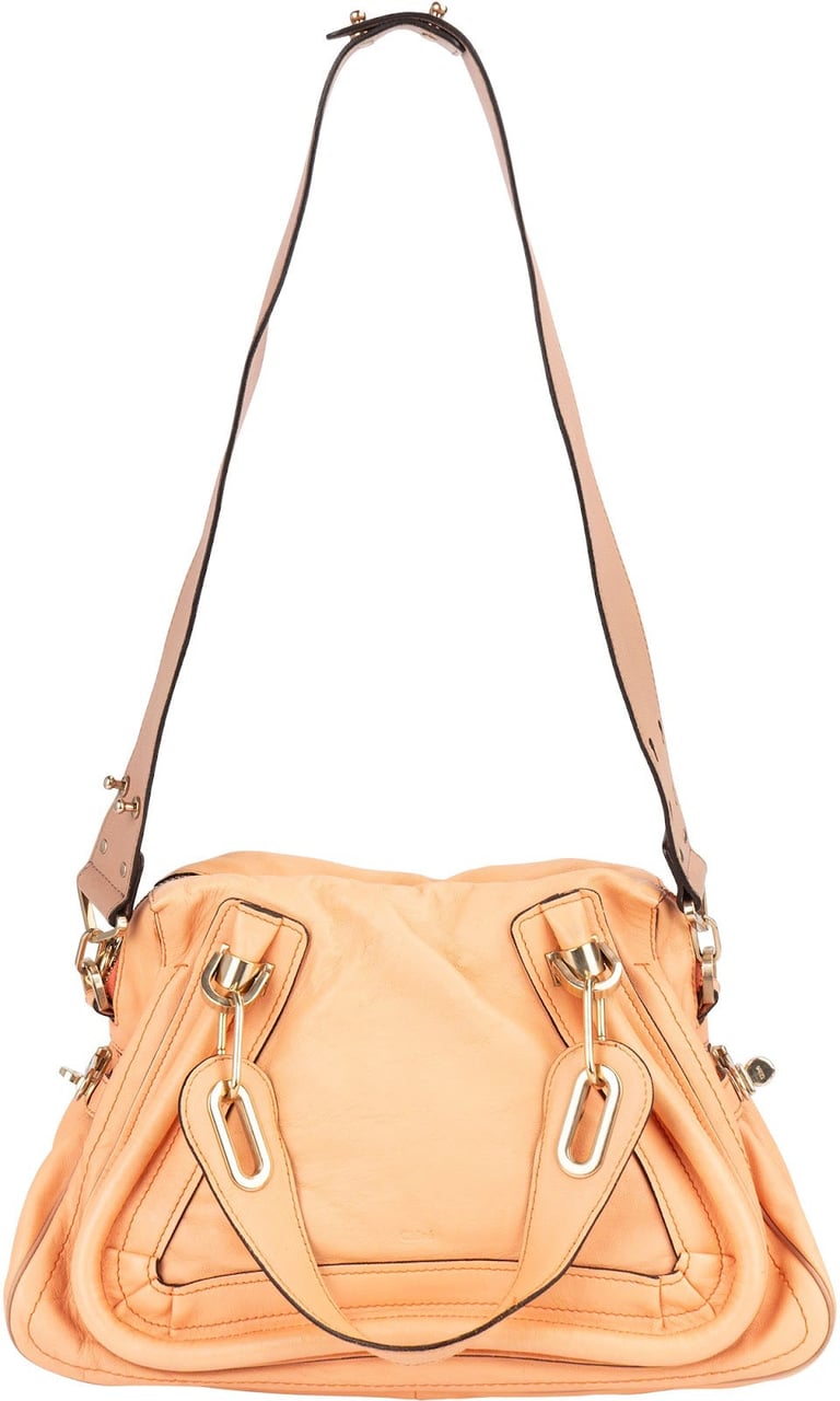 Chloé Chloé Leather Paraty Handbag Divers