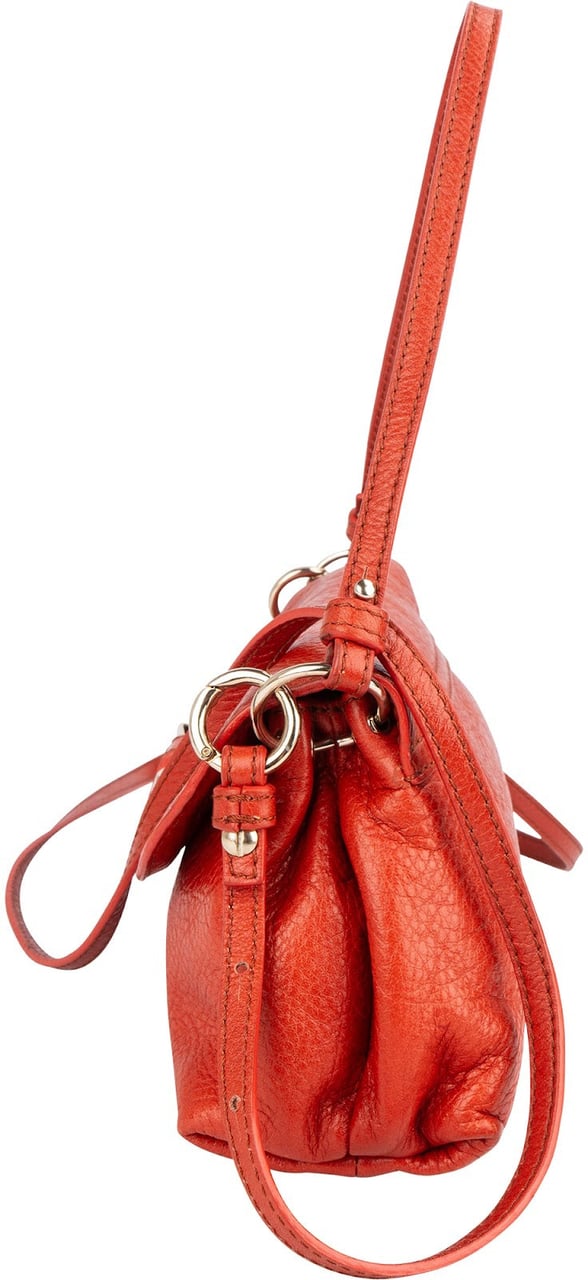 Chloé Pebbled Leather Lily Crossbody Handbag Oranje