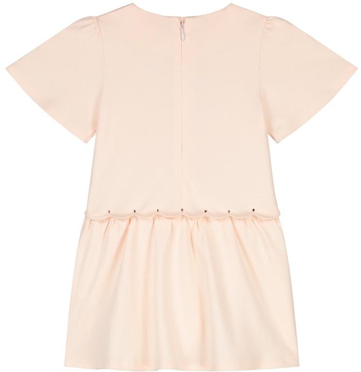 Chloé Jurk Roze