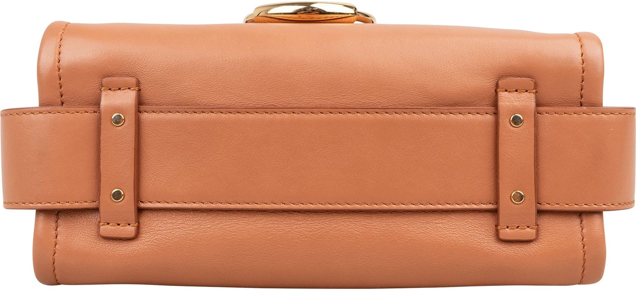 Chloé Grained Calfskin Tess Small Day Crossbody Handbag Bruin