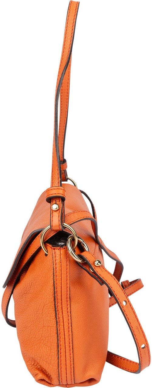 Chloé Chloé Orange Leather Elsie Turnlock Shoulder Bag Oranje