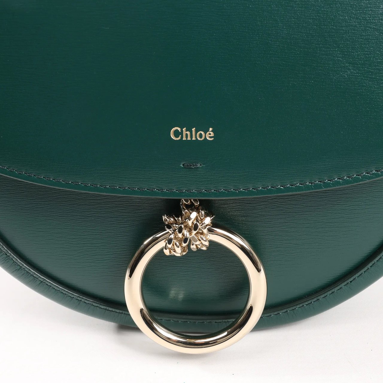 Chloé Chloe Arlène Leather Shoulder bag in Green Groen