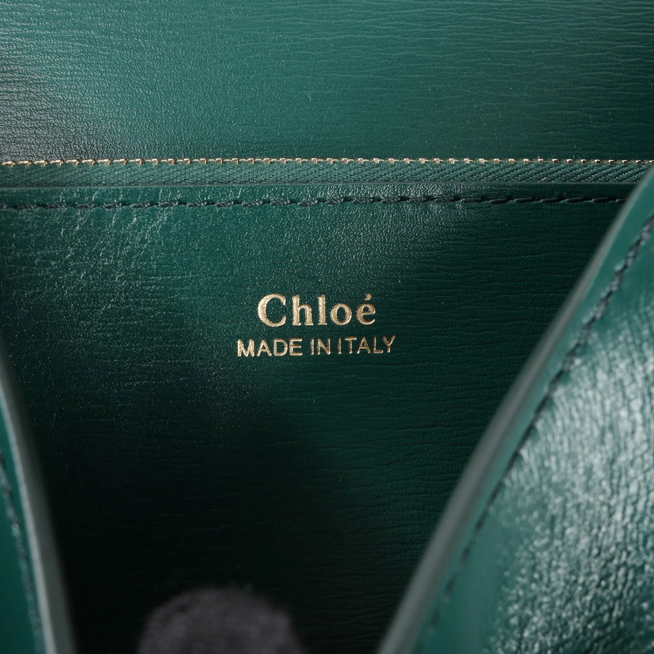 Chloé Chloe Arlène Leather Shoulder bag in Green Groen