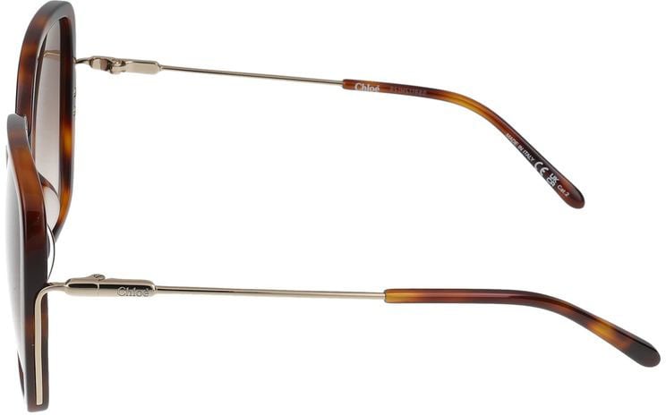 Chloé Sunglasses Chloé CH0173S 002 havana gold brown 57/19/135 Roze