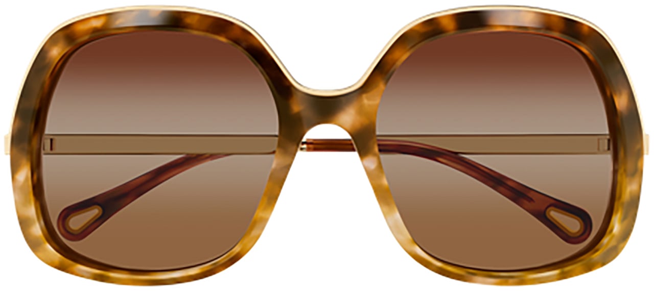 Chloé Chloé CH0327S Bruin