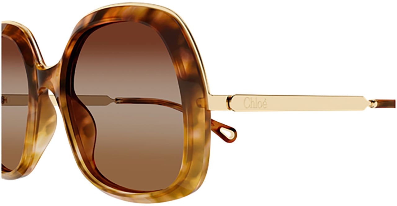Chloé Chloé CH0327S Bruin