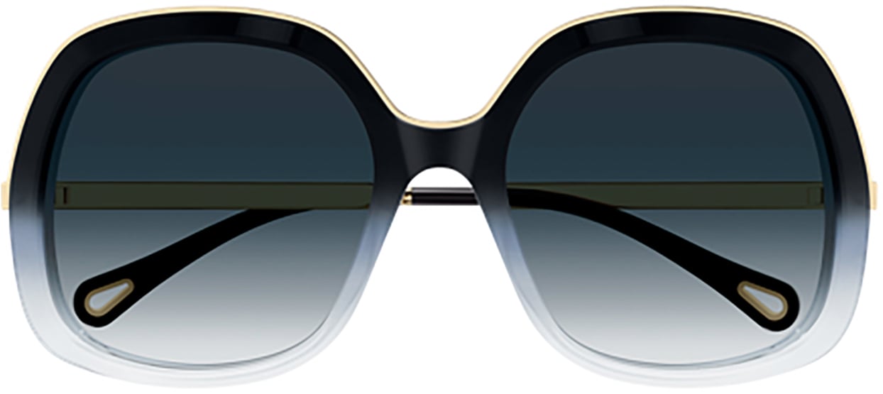 Chloé Chloé CH0327S Grijs