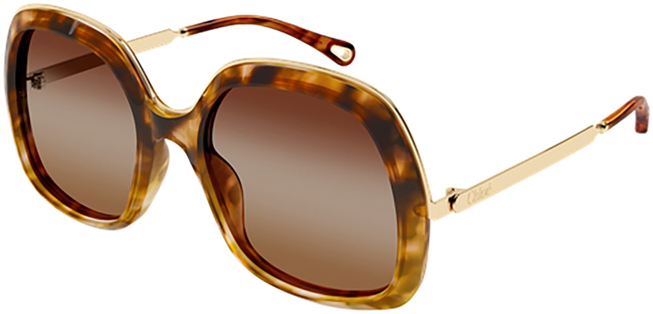 Chloé Chloé CH0327S Bruin