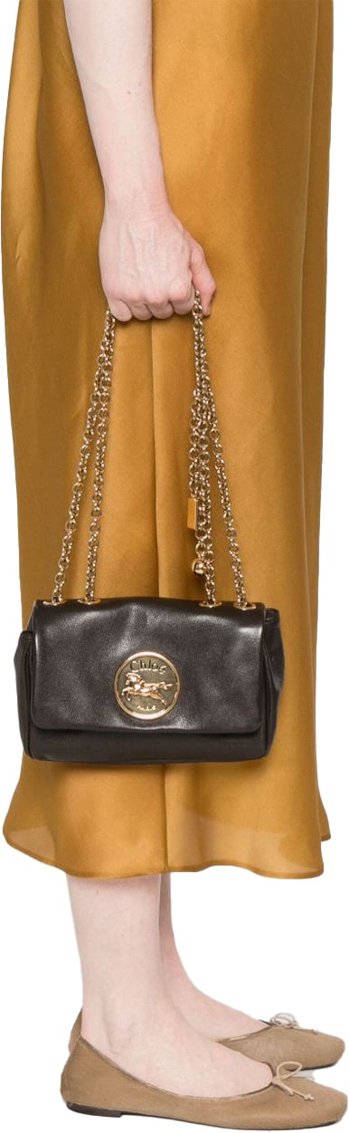 Chloé Bags Marrone Scuro Bruin