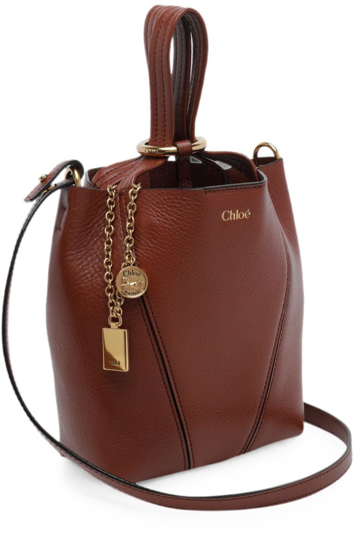 Chloé Bags Brown Bruin