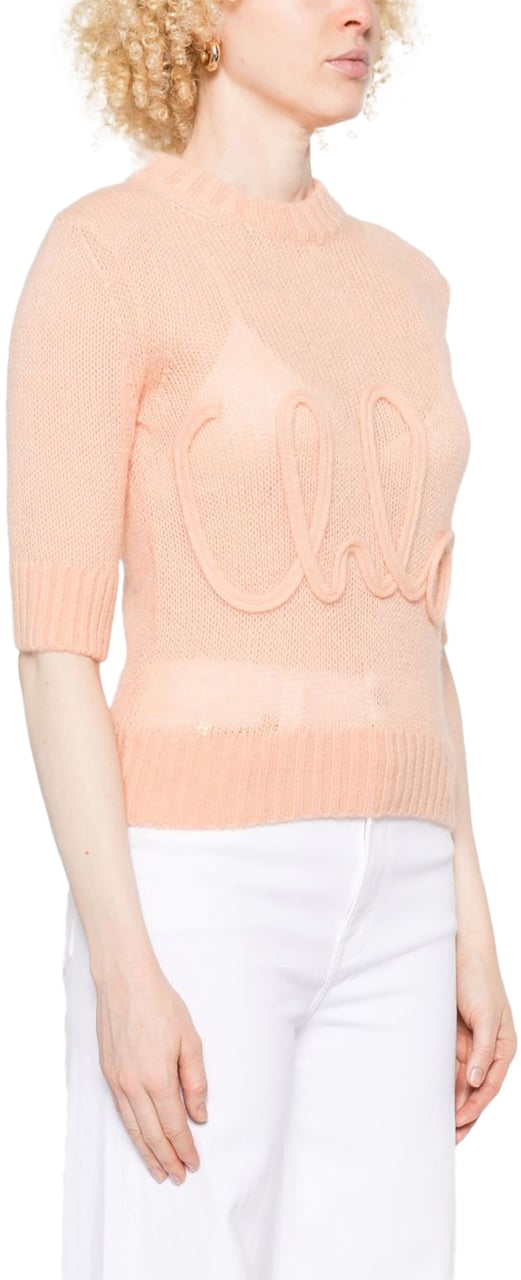 Chloé Sweaters Pink Roze