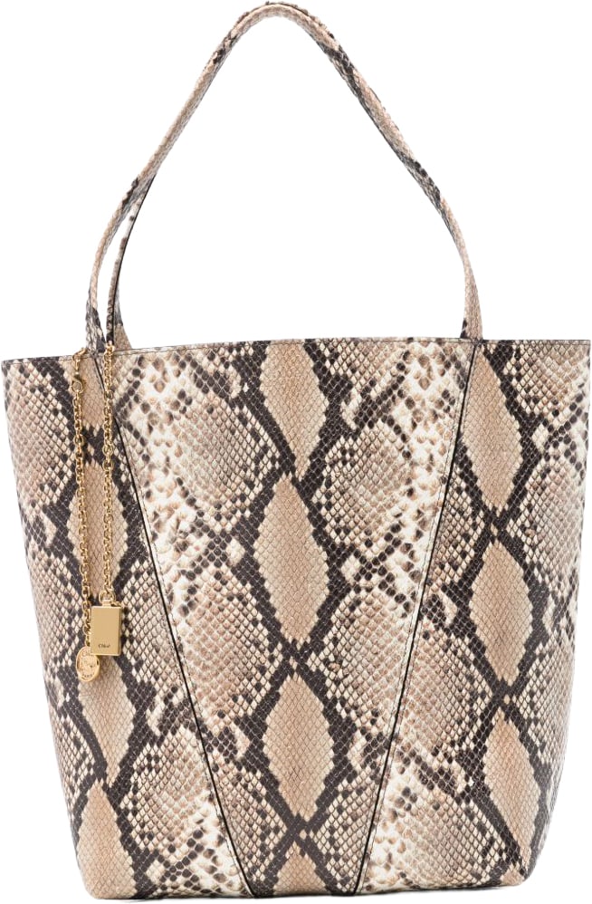 Chloé Bags Beige Beige